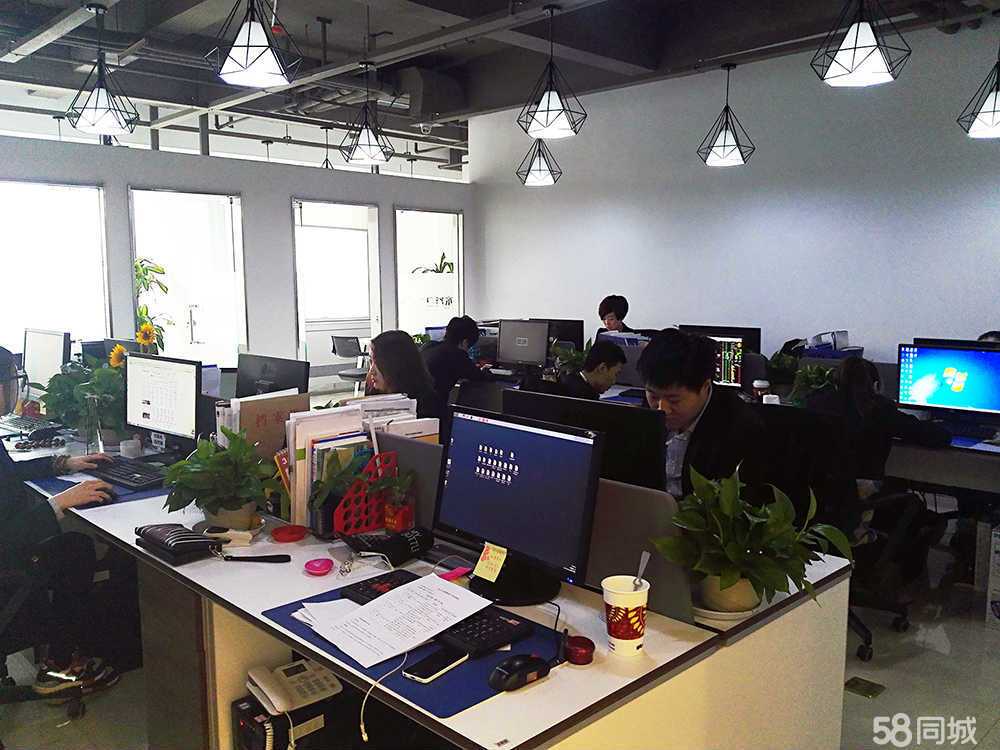 专业咨询，助力决策 沈阳卓铭经济信息咨询的价值解析